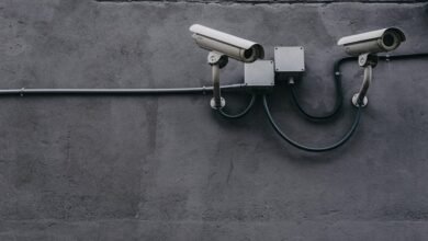 fraud monitoring contact numbers