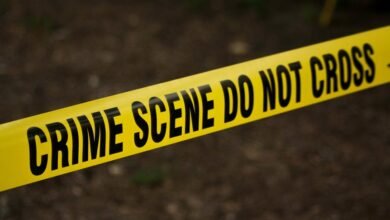 hotline for fraud investigation