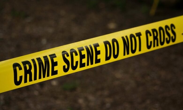 hotline for fraud investigation